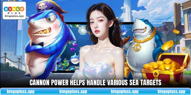 Cannon power helps handle various sea targets