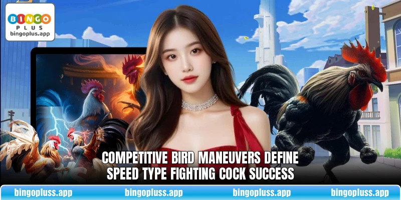 Competitive bird maneuvers define speed type fighting cock success