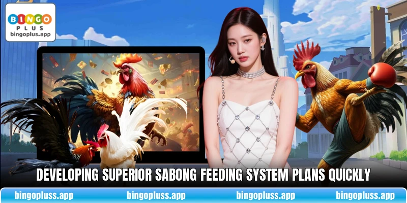 Developing superior Sabong Feeding System plans quickly