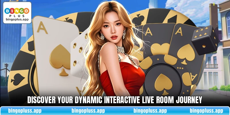 Discover your dynamic Interactive Live Room journey