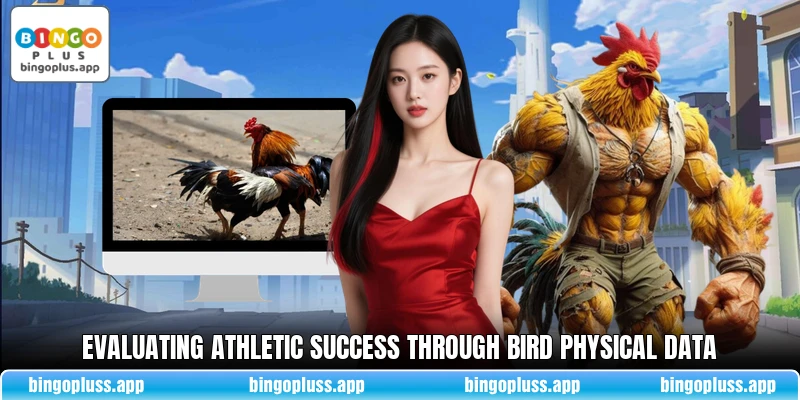 Evaluating athletic success through bird physical data