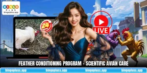 Feather Conditioning Program - Scientific Avian Care