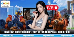 Gamefowl Nutrition Guide - Expert Tips For Optimal Bird Health