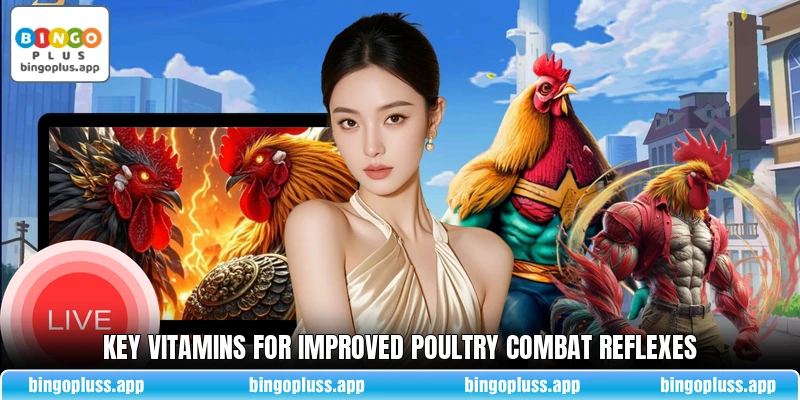 Key vitamins for improved poultry combat reflexes