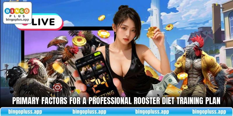Primary factors for a professional Rooster Diet Training Plan