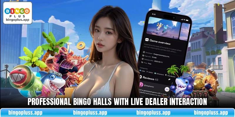 Professional bingo halls with live dealer interaction