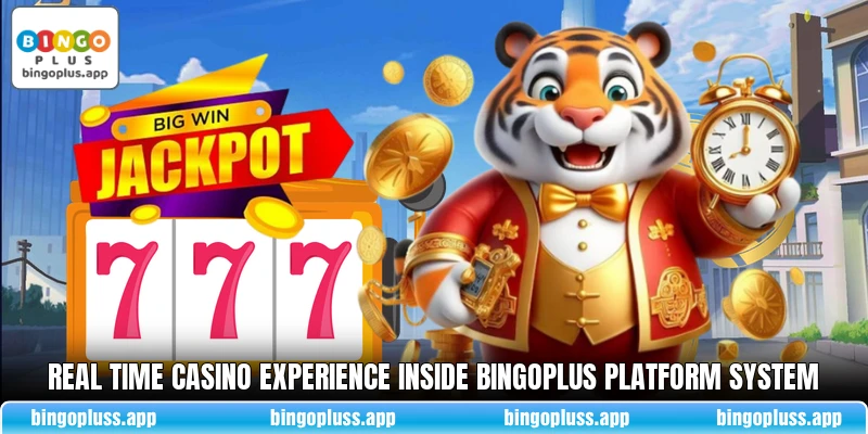 Real time casino experience inside BingoPlus platform system Real time casino experience inside BingoPlus platform system