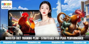 Rooster Diet Training Plan - Strategies For Peak Performance