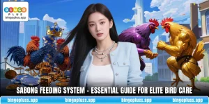 Sabong Feeding System - Essential Guide For Elite Bird Caress