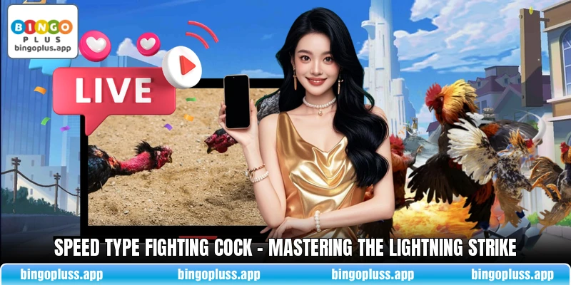 Speed Type Fighting Cock - Mastering The Lightning Strike